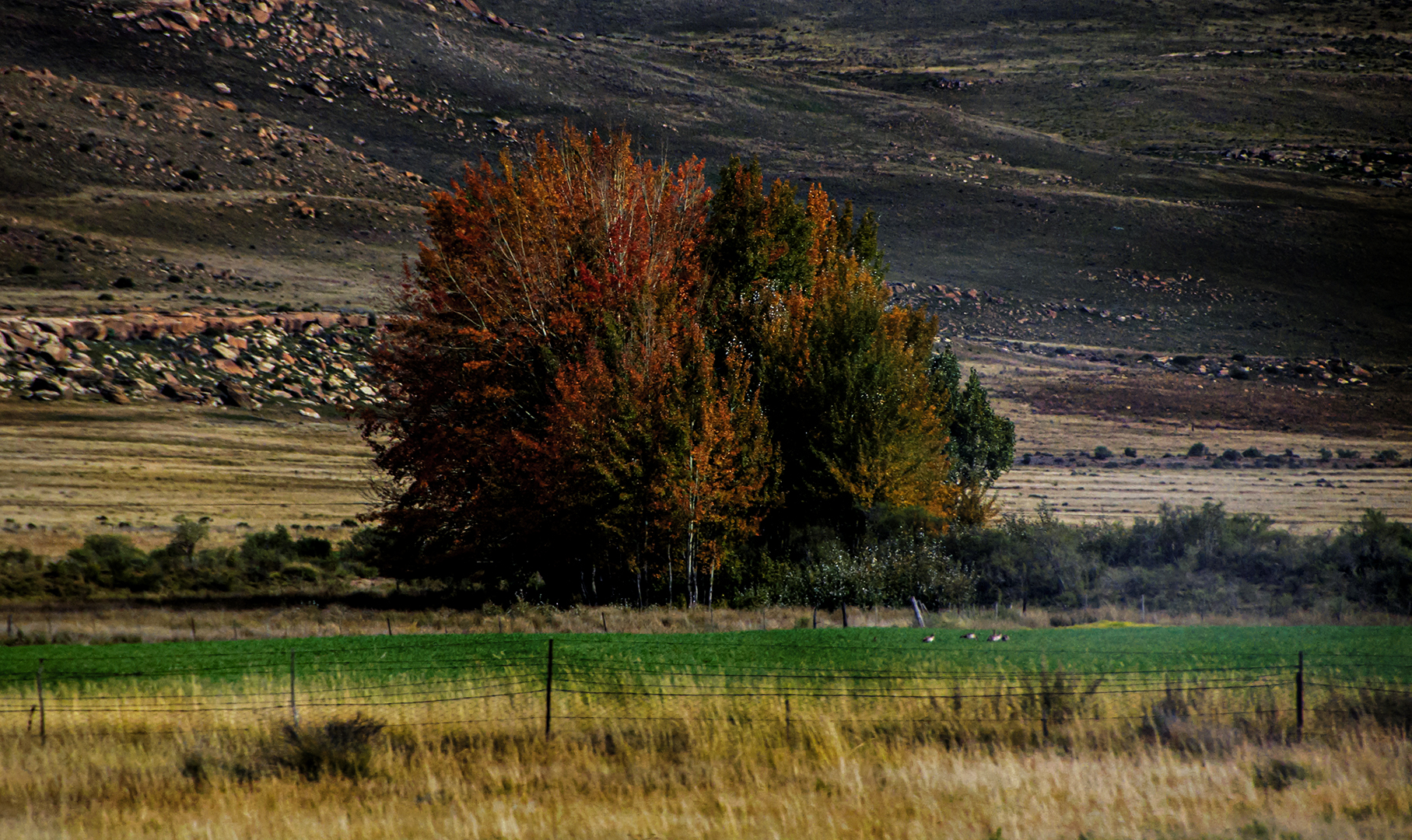 Nature Photography — Nature photography by Orpa Lamprecht