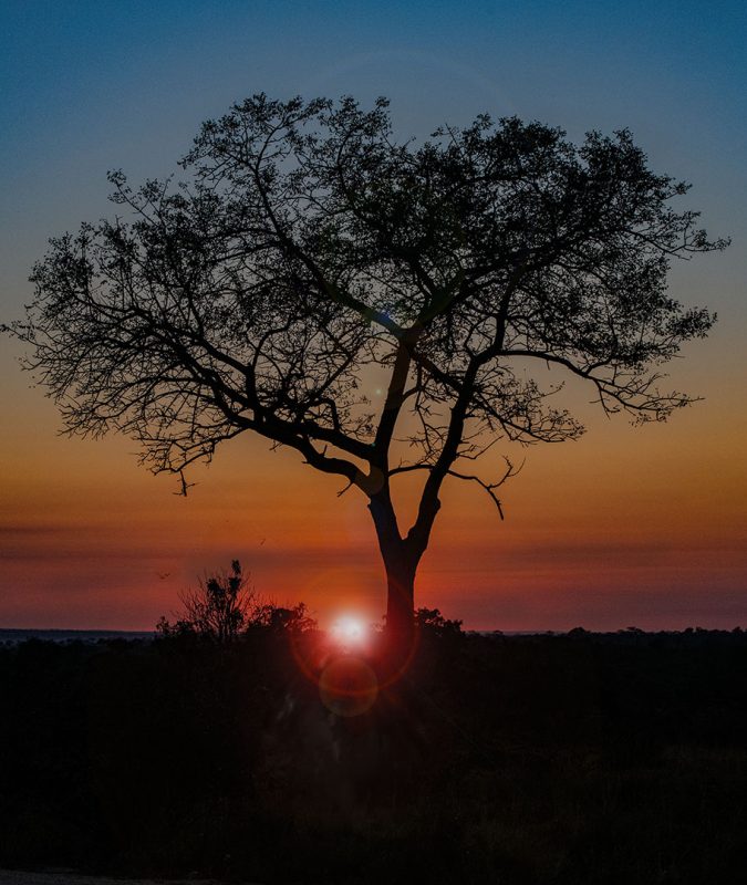 Nature photography by Orpa Lamprecht